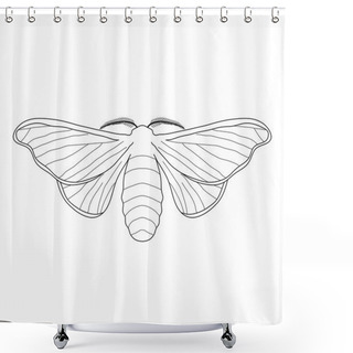 Personality  Butterfly Bombyx Mori.  Sketch Of Butterfly. Butterfly Isolated On White Background. Shower Curtains