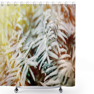Personality  Morning Sun Over Fir Tree Covered With Frost Shower Curtains