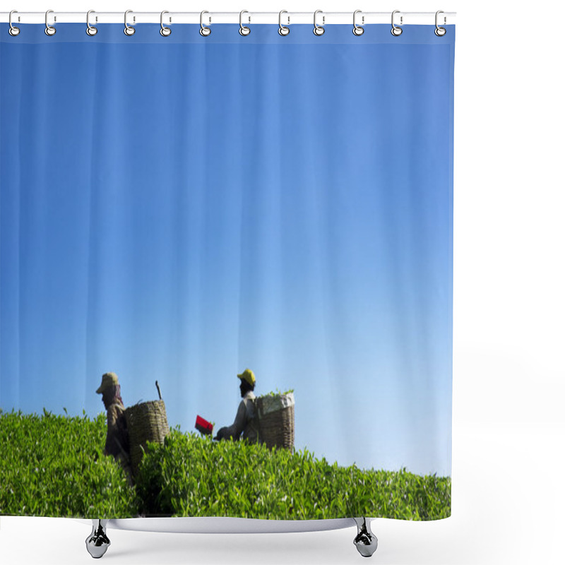 Personality  Harvest Tea Leaves Shower Curtains