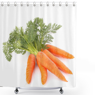 Personality  Carrot Vegetable With Leaves Shower Curtains