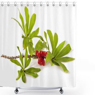 Personality  Venomous Plant On White Shower Curtains