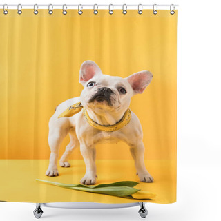 Personality  Cute French Bulldog With Beautiful Yellow Tulip Flower On Yellow Shower Curtains