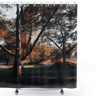 Personality  Autumn Park With Lawn And Walkways In New York City Shower Curtains