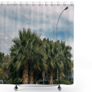 Personality  Green Palm Trees Near Road Sign Against Blue Sky With Clouds  Shower Curtains
