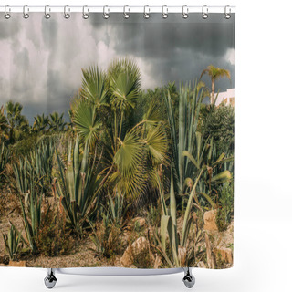 Personality  Green Palm Trees And Aloe Leaves Against Grey Cloudy Sky Shower Curtains