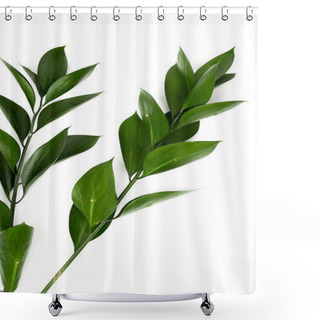 Personality  Twigs With Green Leaves Isolated On White Shower Curtains