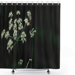 Personality  Selective Focus Of Bee On Cow Parsley Flowers With Blurred Background Shower Curtains