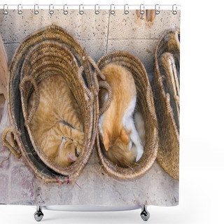 Personality  Cosy Moroccan Kingdom. Red Cats In Baskets Shower Curtains