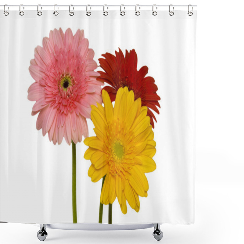 Personality  Beautiful And Colorful Daisy Flowers On White Background Shower Curtains