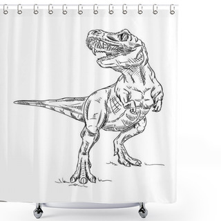 Personality  Vector - Dinosaur , Isolated On Background Shower Curtains