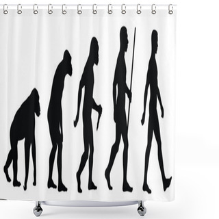 Personality  Evolution Shower Curtains