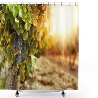 Personality  Vineyards At Sunset Shower Curtains