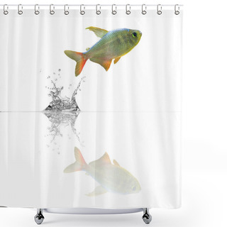 Personality  Small Fish With Reflection Shower Curtains