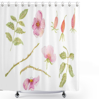 Personality  Watercolor Drawing Of Beautiful Dog Roses Flowers  Shower Curtains