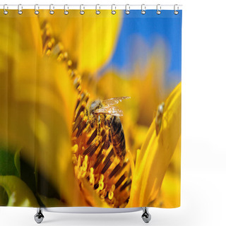 Personality  Honeybee Collects Nectar On The Flowers Of A Sunflower Shower Curtains
