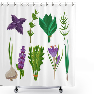 Personality  Set Of 9 Vector Herbs Shower Curtains