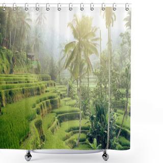 Personality  Rice Terraces In The Morning Light Near Tegallalang Village, Ubud, Bali, Indonesia. Shower Curtains