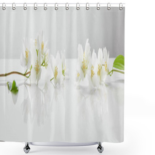 Personality  Panoramic Shot Of Jasmine Flowers On White Surface Shower Curtains