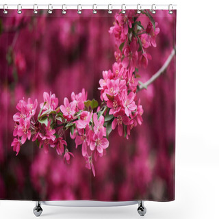 Personality  Close-up View Of Beautiful Bright Pink Almond Flowers On Branch  Shower Curtains