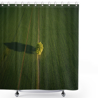 Personality  Tree Shower Curtains