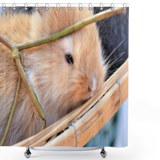 Personality  A Lot Rabbits For Sale Shower Curtains