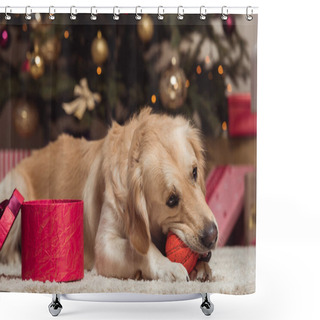 Personality  Golden Retriever Dog At Christmas Eve Shower Curtains
