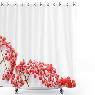 Personality  Close View Of Red Ashberries Isolated On White Background Shower Curtains