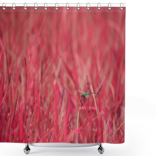 Personality  Dragonfly Insect Seating Upon Pink Grass Leaves Blur Background. Shower Curtains