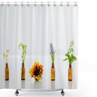 Personality  Sunflower, Chamomile, Freesia, Salvia And Hyacinth Flowers In Glass Bottles On White Background Shower Curtains