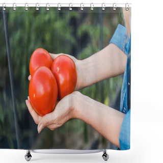 Personality  Cropped Image Of Farmer Holding Ripe Organic Tomatoes In Hands In Field At Farm Shower Curtains