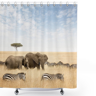 Personality  Elephants And Zebras In Masai Mara Shower Curtains