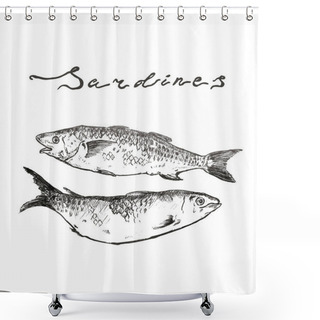 Personality  Pilchard Sardine Hand Drawn Illustration Sketch Vector With Lettering Shower Curtains