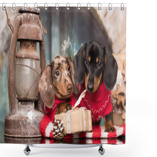 Personality  Puppy Christmas Dog Dachshund, New Year's Puppy Shower Curtains