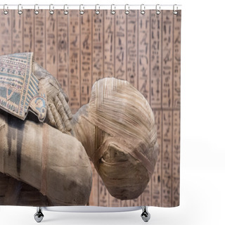 Personality  Egyptian Mummy Head Close Up Shower Curtains