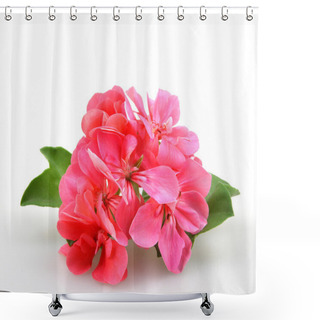 Personality  Geranium Pelargonium Flowers - Color Image Shower Curtains