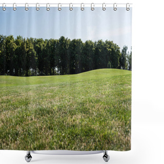 Personality  Selective Focus Of Trees Near Green Grass In Park In Summertime  Shower Curtains