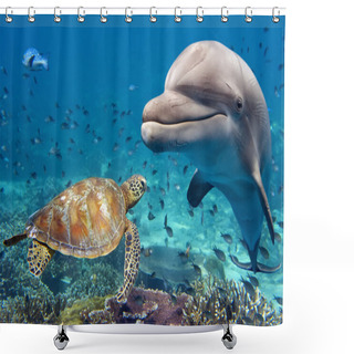 Personality  Dolphin And Turtle Underwater On Reef Shower Curtains
