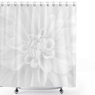 Personality  White Flower Background Shower Curtains