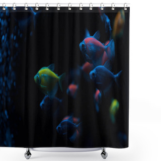 Personality  Selective Focus Of Fishes With Neon Light On Dark Background Shower Curtains