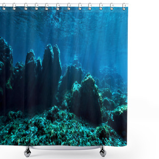 Personality  Underwater Photo Of Magic Landscape As A Fairy Tale In Rays Of Light. From A Scuba Dive. Shower Curtains