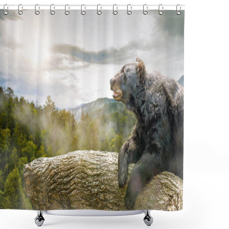 Personality  Large brown bear lying on tree at sunset overlooking the Great Smoky Mountains National Park in Tennessee, USA  shower curtains