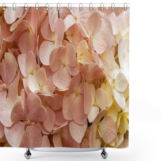 Personality  Blossoming Pink Hydrangea Flowers.Floral Background.selective Focus. Shower Curtains