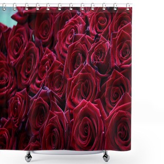Personality  Many Velvet Red Roses Close Up.Beautiful Bouquet.Floral Background For Design Or Text.Gorgeous Red Abstract Backdrop.Beautiful Bouquet.Low Key Photography. Shower Curtains