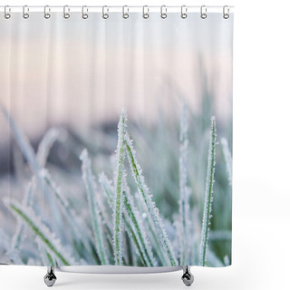 Personality  Cold Hard Frost Shower Curtains