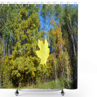 Personality  Falling Yellow Maple Leaf Shower Curtains