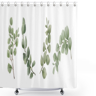 Personality  Greenery Leaves Eucalyptus Watercolor Hand Drawn. Set Of Green Leaf In Watercolor Style Isolated On White Background. Decorative Beauty Elegant Illustration Collection For Design. Shower Curtains