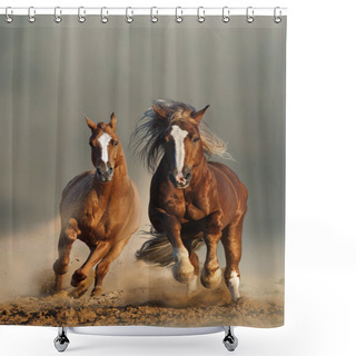 Personality  Two Wild Chestnut Horses Running, Front View Shower Curtains