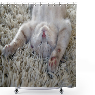 Personality  Kitten On Carpet Shower Curtains