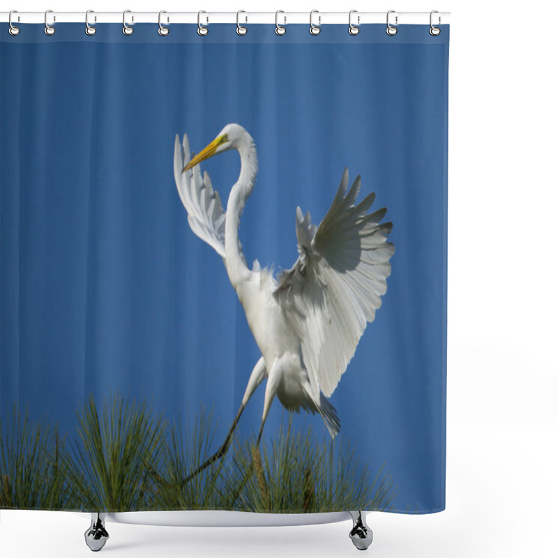 Personality  Great egret landing shower curtains