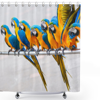 Personality  Parrot Birds Shower Curtains